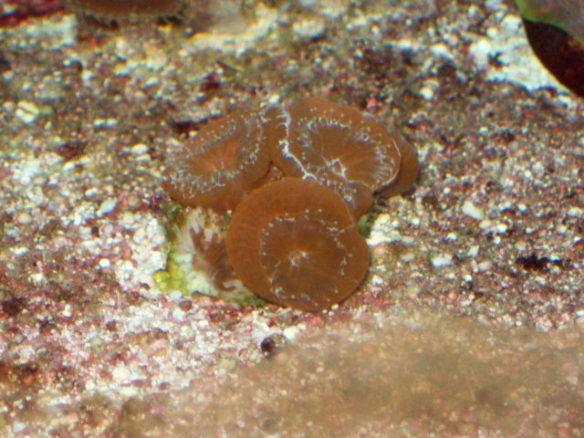 100_0772.jpg