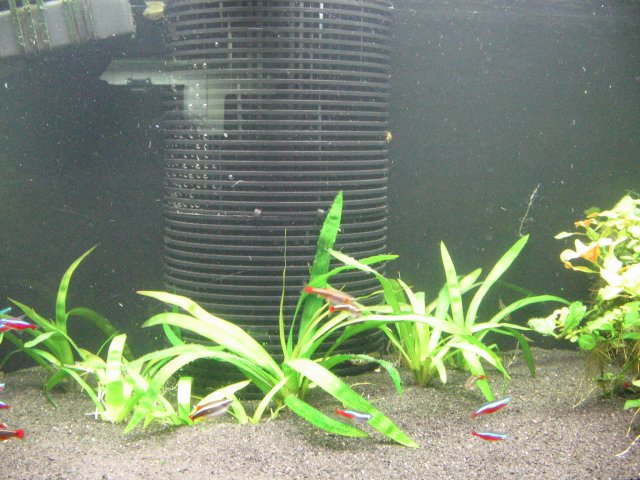 IMG_0005_2.JPG