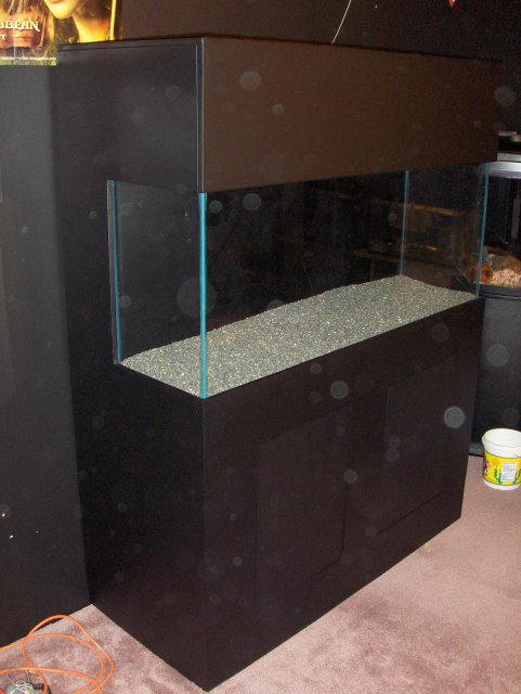 HPIM4383.JPG