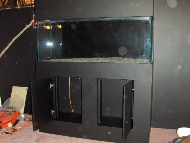 HPIM4385.JPG