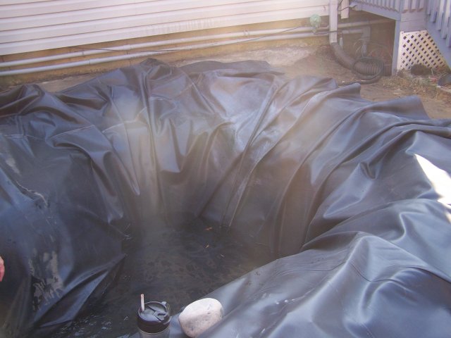 100_2503.JPG