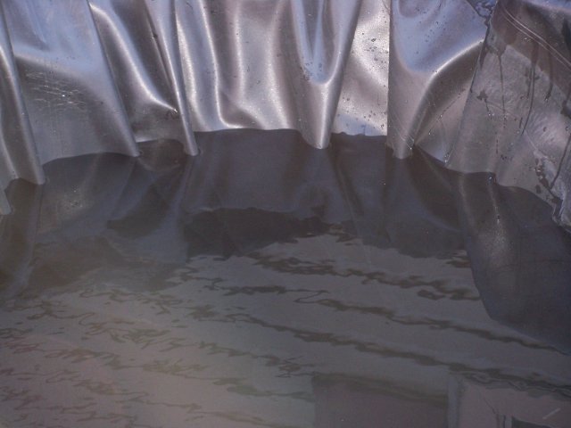 100_2506.JPG