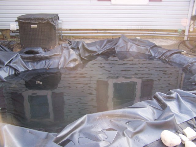 100_2507.JPG