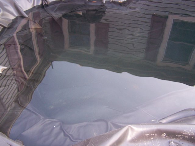 100_2508.JPG