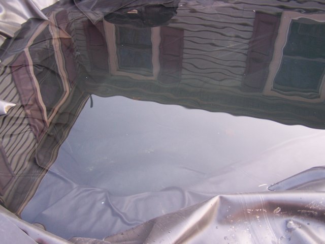 100_2509.JPG