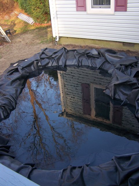 100_2510.JPG