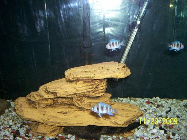000_3632.jpg