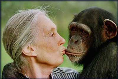 jane_goodall_kissing_cousin.jpg
