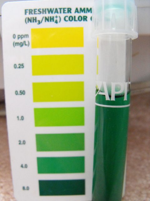 November 2009 208.jpg