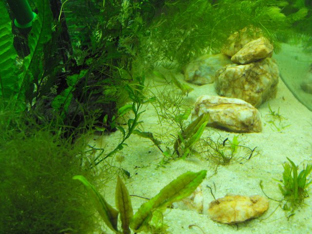 November 2009 193.jpg