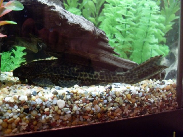 SDC17936.JPG SDC17936.JPG