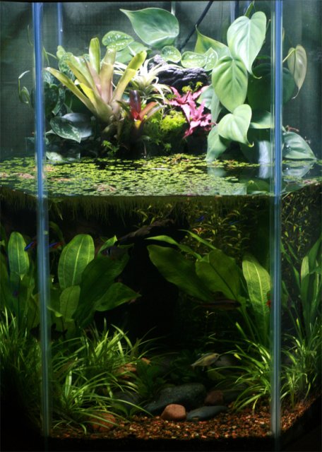 Aquarium for Web.jpg
