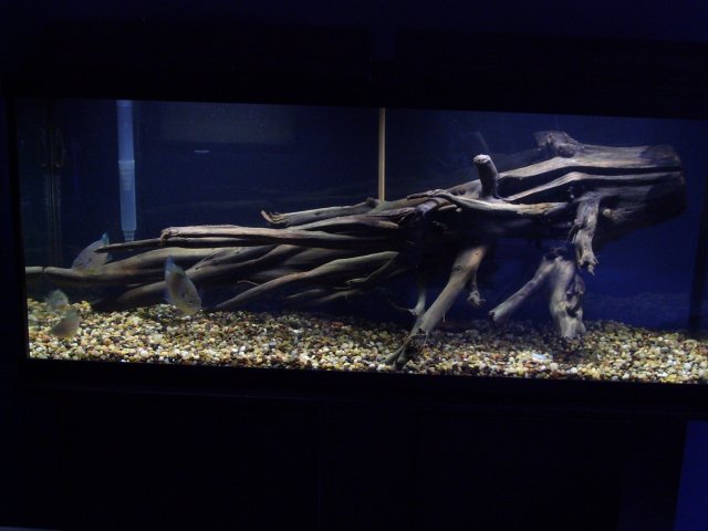 100_5907.JPG