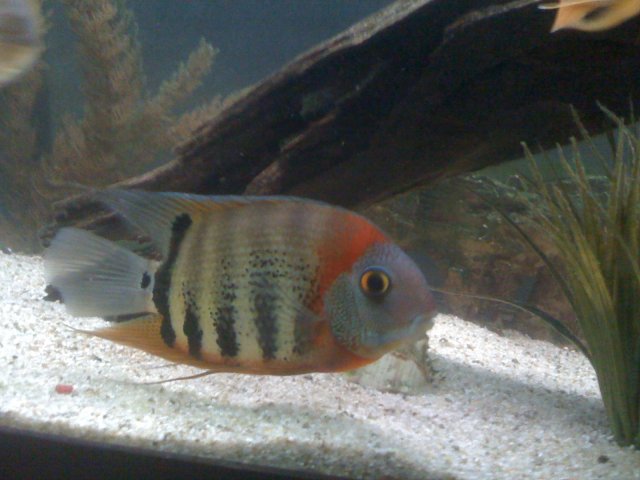 IMG_0501.JPG
