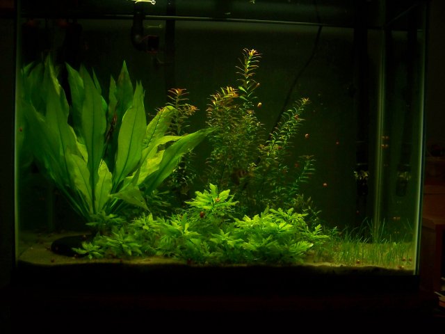 100_1779.jpg