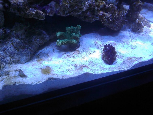 Phone Pictures 152.jpg