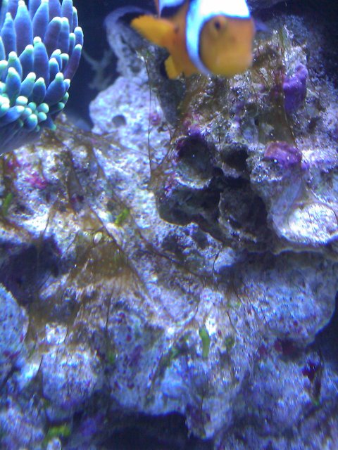 Phone Pictures 153.jpg