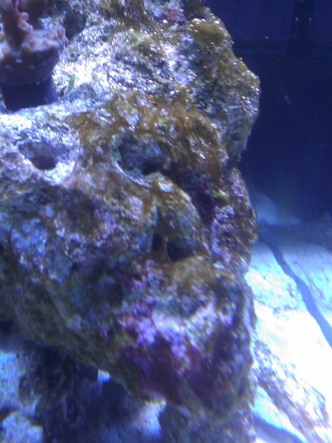 Phone Pictures 154.jpg