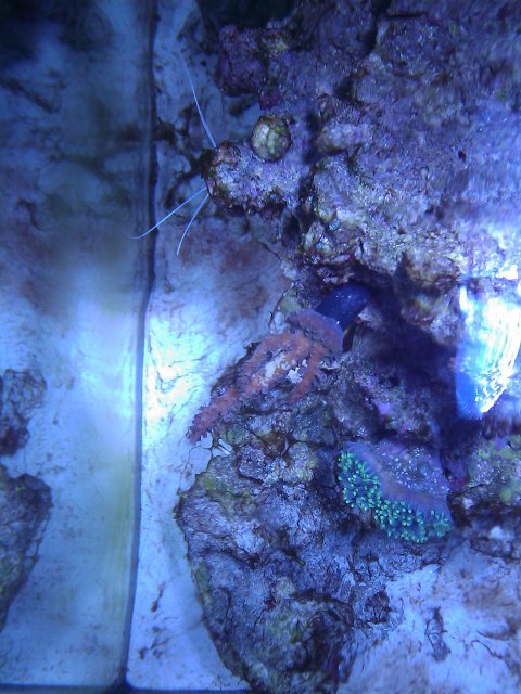 Phone Pictures 157.jpg