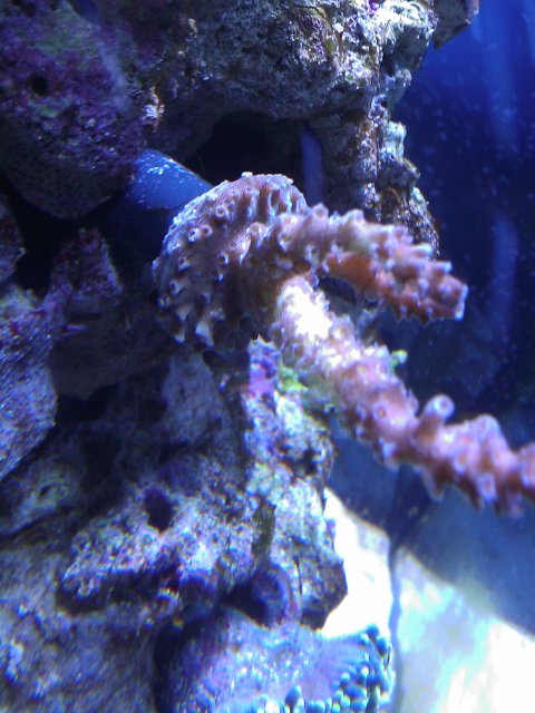 Phone Pictures 158.jpg