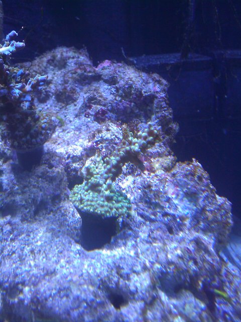 Phone Pictures 159.jpg