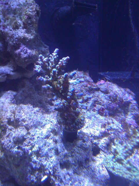 Phone Pictures 160.jpg