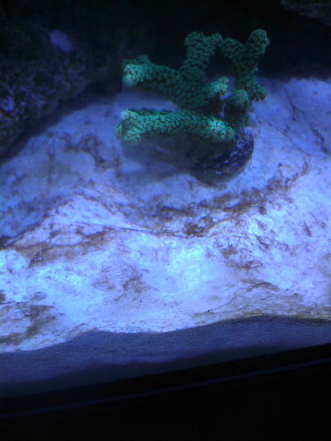 Phone Pictures 161.jpg