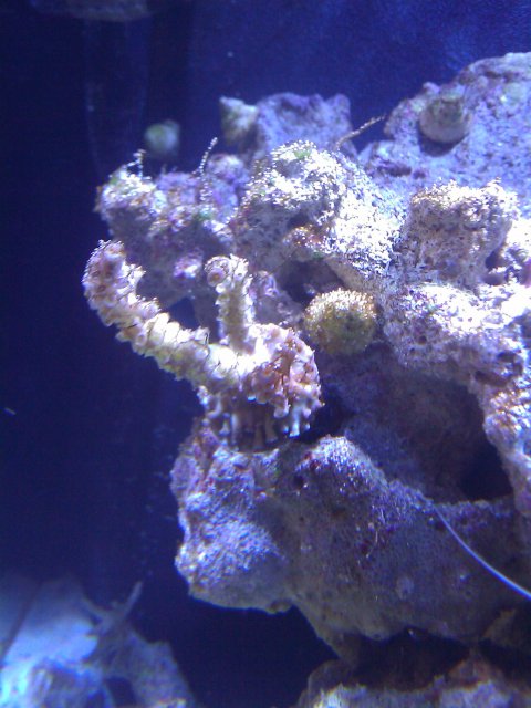 Phone Pictures 162.jpg