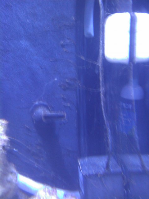 Phone Pictures 163.jpg