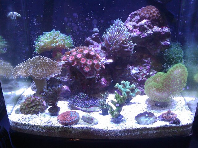 Phone Pictures 165.jpg