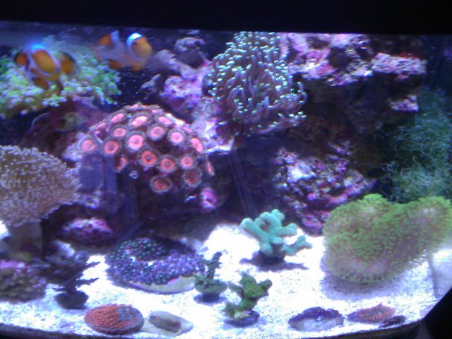 Phone Pictures 166.jpg