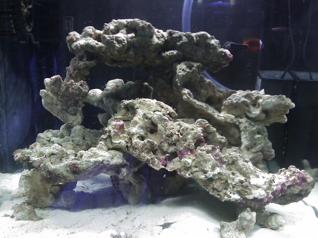 Phone Pictures 001.jpg