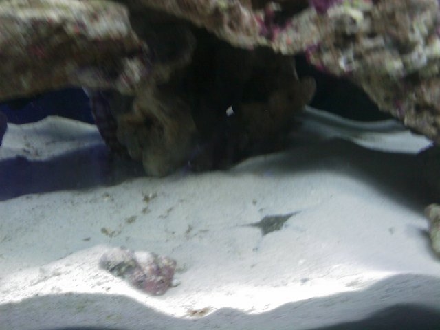 Phone Pictures 002.jpg