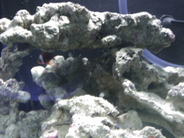 Phone Pictures 003.jpg