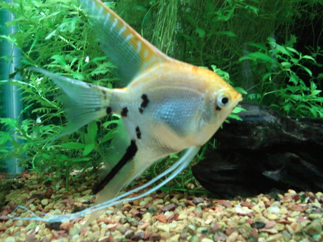 DSC01637.JPG