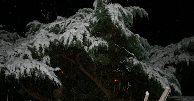 Picture or Video1234567 010.jpg