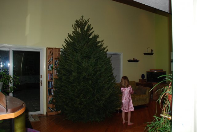 christmas tree and first snow 010.jpg