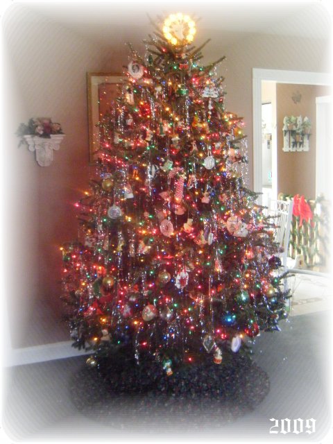 DSCF0645.JPG