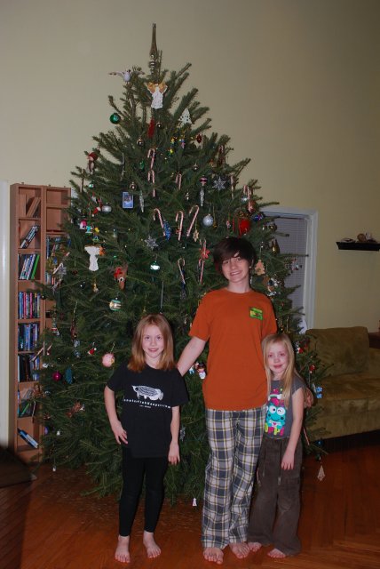christmas tree 041.jpg