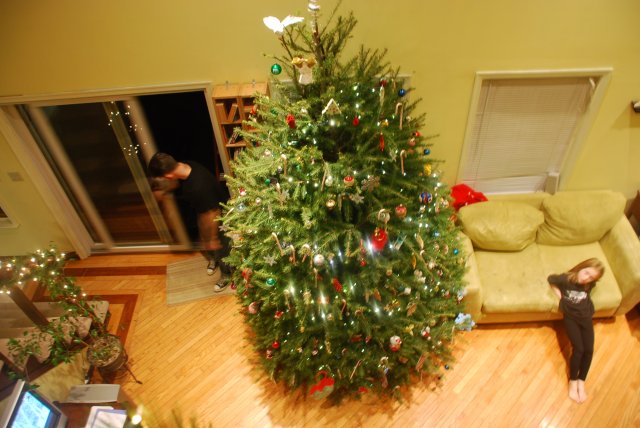 christmas tree 035.jpg