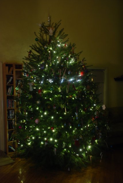 christmas tree 042.jpg
