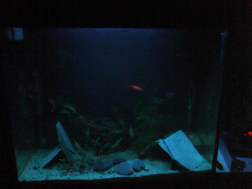 4180133858_2e7faae052.jpg 4180133858_2e7faae052.jpg