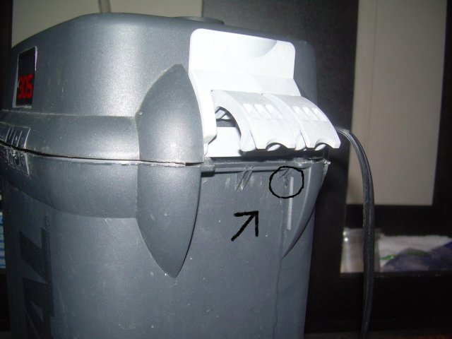 Picture 0151.JPG