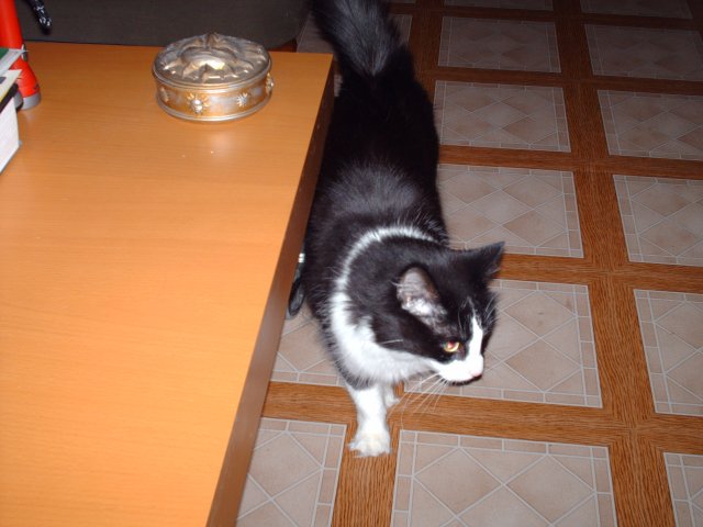 HPIM0392.JPG