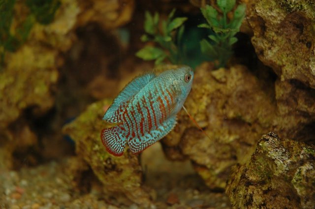 DSC_0304.JPG