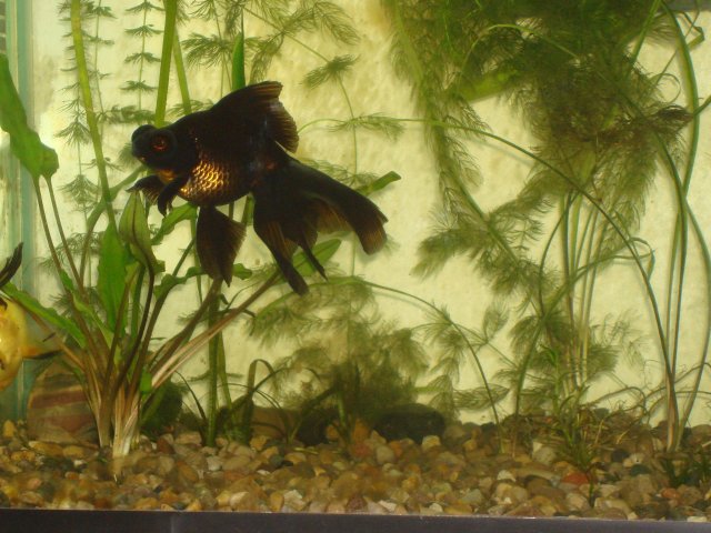 testPictures 245.jpg