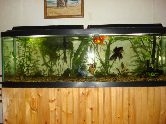 testPictures 249.jpg