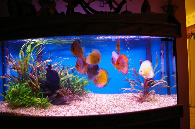 Picture 023.jpg Picture 023.jpg