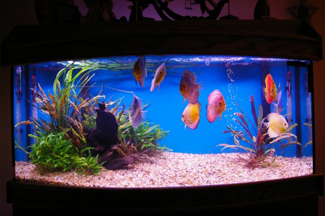 Picture 025.jpg Picture 025.jpg