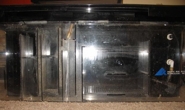 New Tank Back 2.JPG